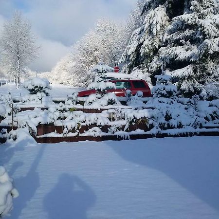 Ferienhaus Rosemarie Breungeshain Luaran gambar